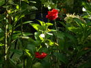 DSCN4649