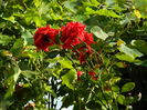 DSCN4651