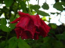 DSCN4655