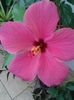 20160806_101220
