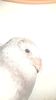 20160806_125224