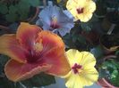 WIN_20160806_121622
