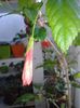 20160805_173209