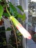 20160805_173214