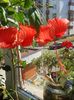 20160806_105901