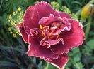 DSCF9182