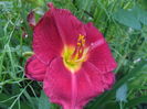 DSCF9183