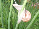 DSCF9201