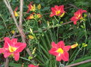 DSCF9178