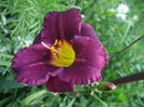 DSCF9181