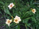 DSCF9185