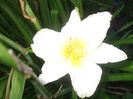 DSCF9244