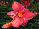DSCF9245