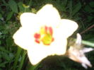 DSCF9249
