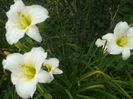 DSCF9261