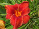 DSCF9263