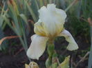 DSCF9171