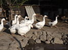 DSCF0028