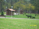 parcul tineretului 1 nov 2009 010