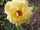 DSCF4788
