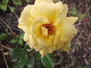 DSCF4787