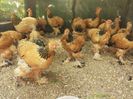 IMG_20160806_155634
