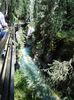 mm_56_05082016_jahnston_canyon