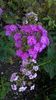WP_20160804_135