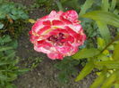 DSCN1253[1]