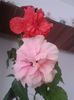 20160807_122006