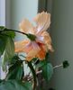 IMG_20160803_145026