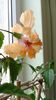 IMG_20160803_145034