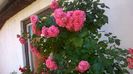 WP_20160804_068