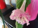 20160805_162906