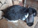 IMG_20160808_091021