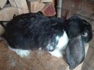 IMG_20160808_091046