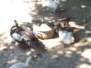 DSCF9462