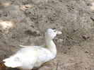 DSCF9447