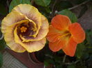 P1280920