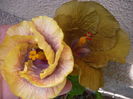 P1280922