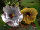 P1280924