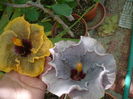 P1280926