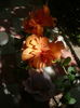 P1280933