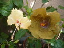 P1280941
