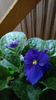IMG_20160707_085847
