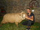 Picture 140