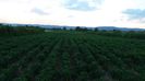 20160806_200531