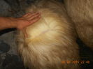 Picture 159
