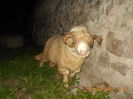 Picture 198