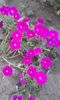 20160808_203320